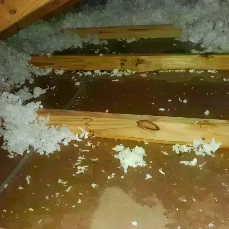 Attic Water Damage in Waitsburg, WA