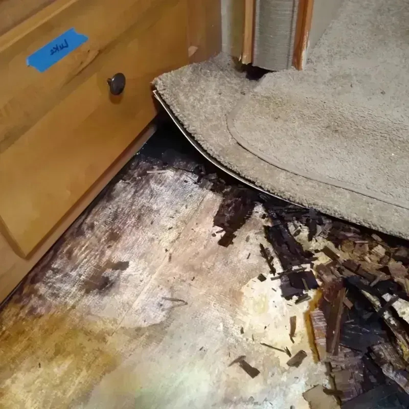 Wood Floor Water Damage in Waitsburg, WA